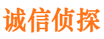 长岭市调查公司